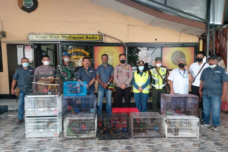 Ilustrasi berita Papua: Tim Gabungan Gagalkan Penyelundupan 81 Satwa Liar di Pelabuhan Sorong