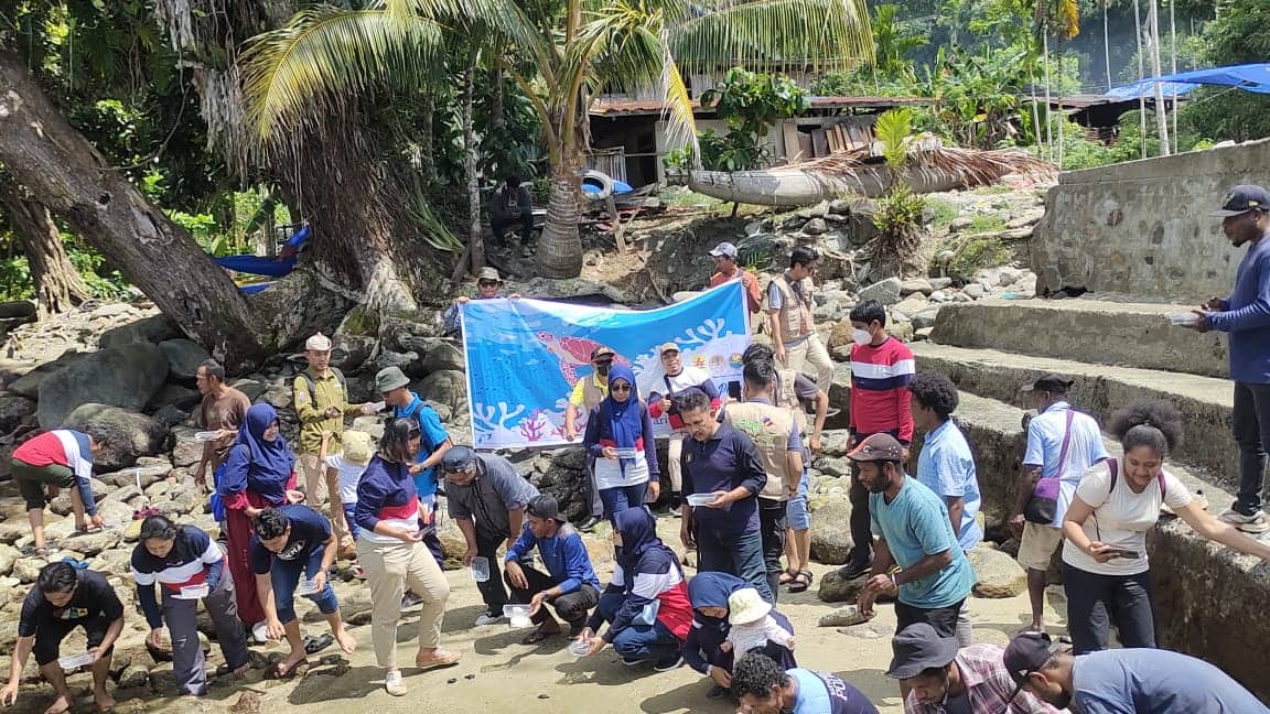 Ilustrasi berita Papua: BBKSDA Papua Bersama PLN Melepasliarkan 20 Ekor Penyu Lekang di Pantai Marekisi Depapre
