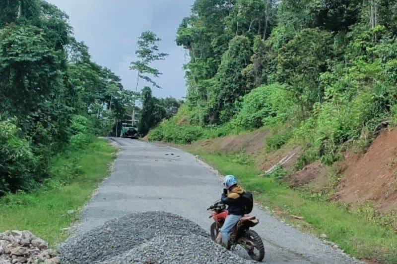 Ilustrasi berita Papua: Proyek Trans Papua Barat Jalur Mameh-Windesi Lanjut 36 Km Tahun Ini