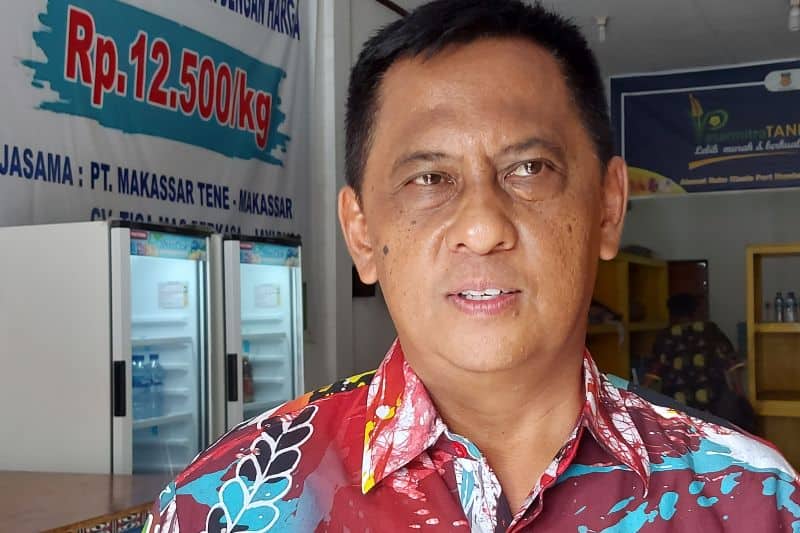 Ilustrasi berita Papua: Pemprov Papua Penuhi Kebutuhan Hewan Kurban 1.600 Ekor