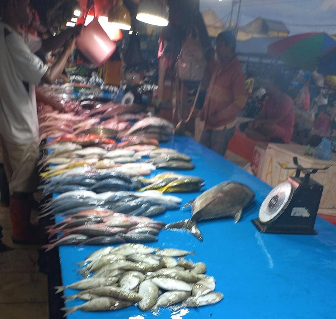Ilustrasi berita Mimika: Penjual Ikan di Pasar Sentral Timika Keluhkan Sepi Pembeli, Banyak yang Beralih ke Eks Pasar Swadaya