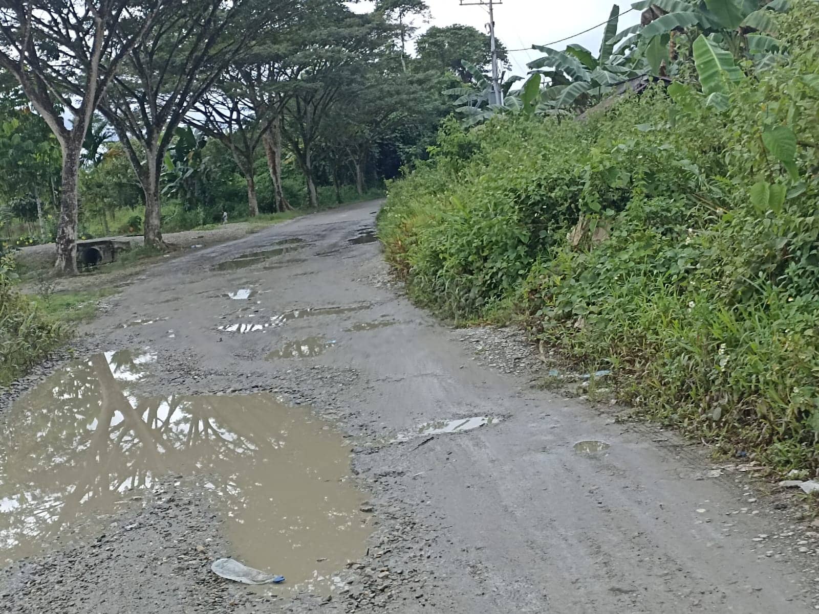 Ilustrasi berita Mimika: Sudah Tahunan Tidak Diperbaiki, Jalan Kampung Naena Muktipura Rusak Parah, Warga Berharap Tahun Ini Diaspal Kembali