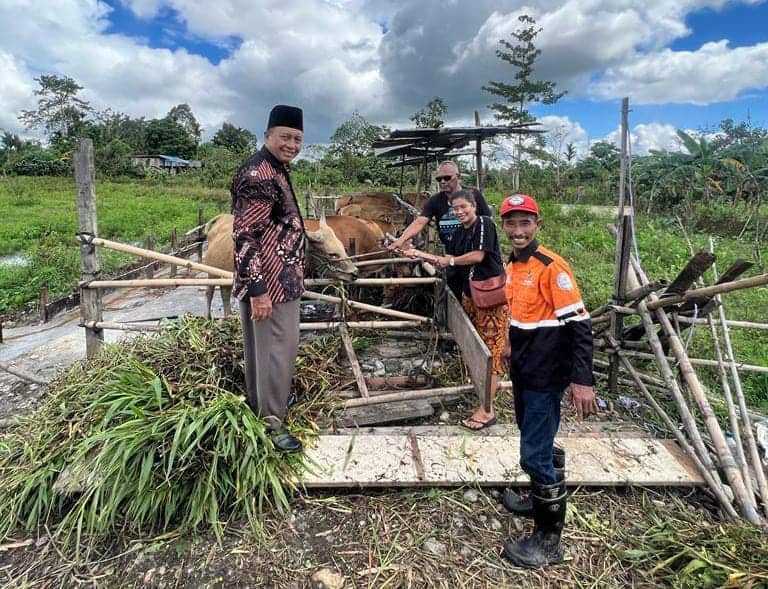 Ilustrasi berita Papua: Gunakan Dana APBD Mimika TA 2022, Pemda Sumbang 15 Ekor Sapi, Keluarga John Rettob Sumbang Lewat Baznas