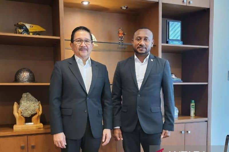 Ilustrasi berita Papua: Persipura Akan Kenalkan Skuad Saat MoU Dengan PT Freeport