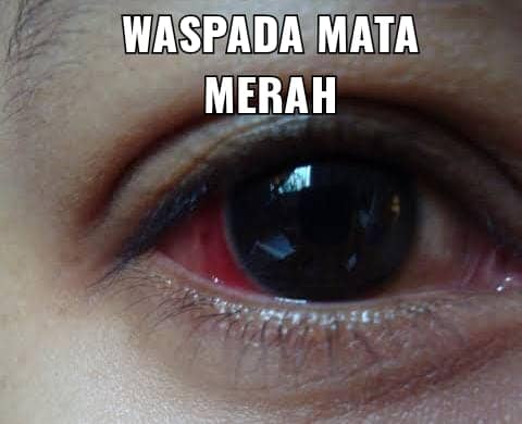 IMG 20220815 WA0003