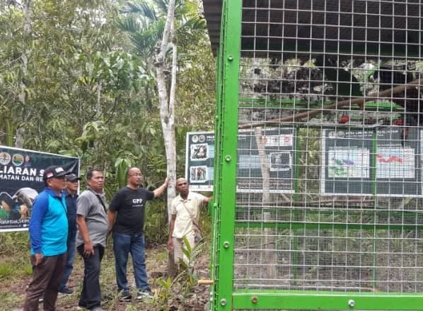 Ilustrasi berita Papua: BKSDA Lepasliarkan 17 Jenis Satwa Endemik Papua di Nimbokrang