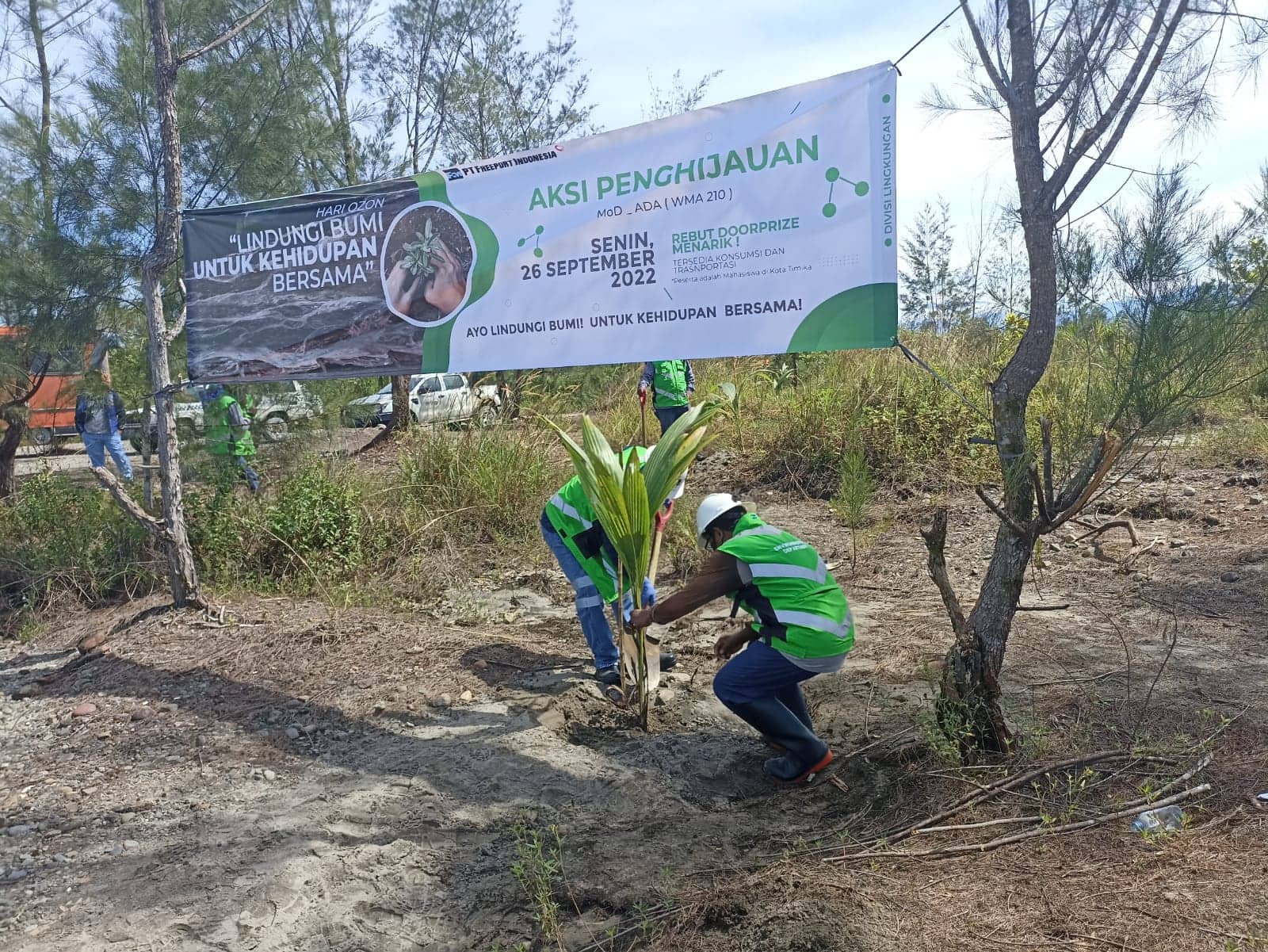 Ilustrasi berita Mimika: PTFI Bersama Mahasiswa Timika Lakukan Penanaman 500 Pohon Kelapa di Area Mile 39