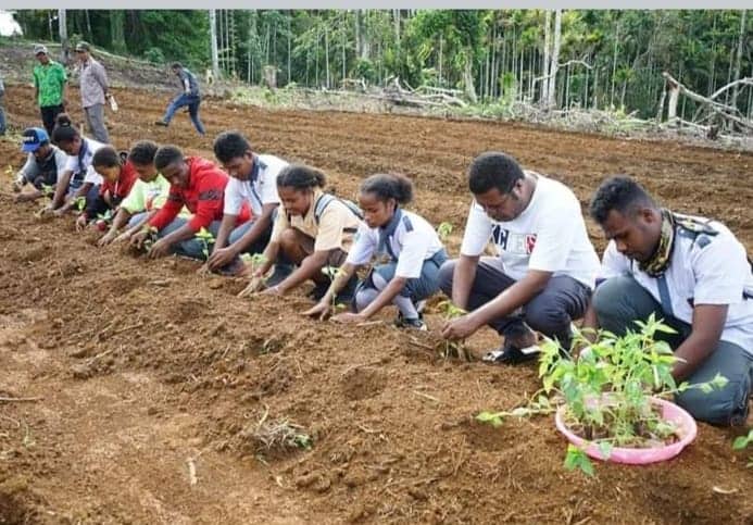 Ilustrasi berita Papua: Miliki Nilai Ekonomi Tinggi, Pemkab Biak Galakkan Budidaya Tanaman Cabe