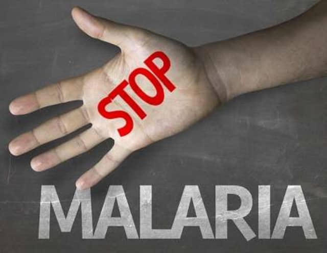 Ilustrasi berita Papua: Kabupaten Mimika Capai 77.379 Kasus, Papua Sumbang Angka Malaria Terbanyak di Indonesia