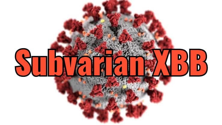 Ilustrasi berita Mimika: Simak 11 Gejala Varian Omicron XBB yang Sudah Terdeteksi di Mimika, Lebih Mudah Menular