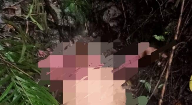 Ilustrasi berita Papua: Terungkap, Tukang Ojek yang Tewas Dibantai KKB Ada 3 Orang, Kapolres Cahyo : Pelaku dari Kelompok Nason Mimin