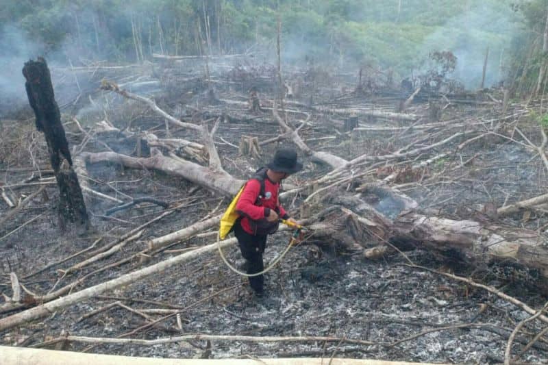 Ilustrasi berita Nasional: El Nino Lemah Picu Musim Kemarau yang Lebih Kering