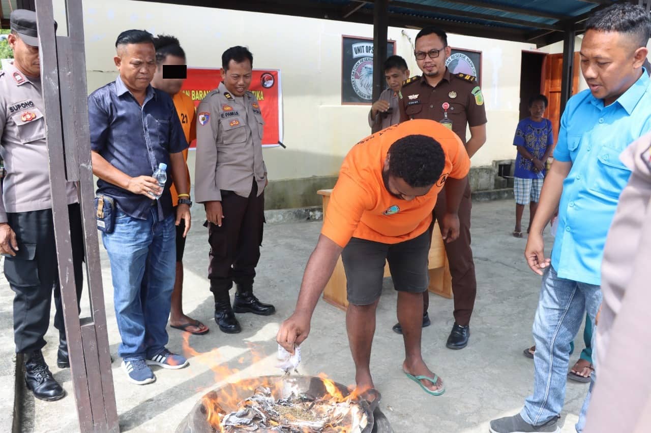 Ilustrasi berita Papua: Ibukota Papua Tengah Mulai Disentuh Narkoba, Polres Nabire Musnahkan Ganja Seberat 26,10 Gram
