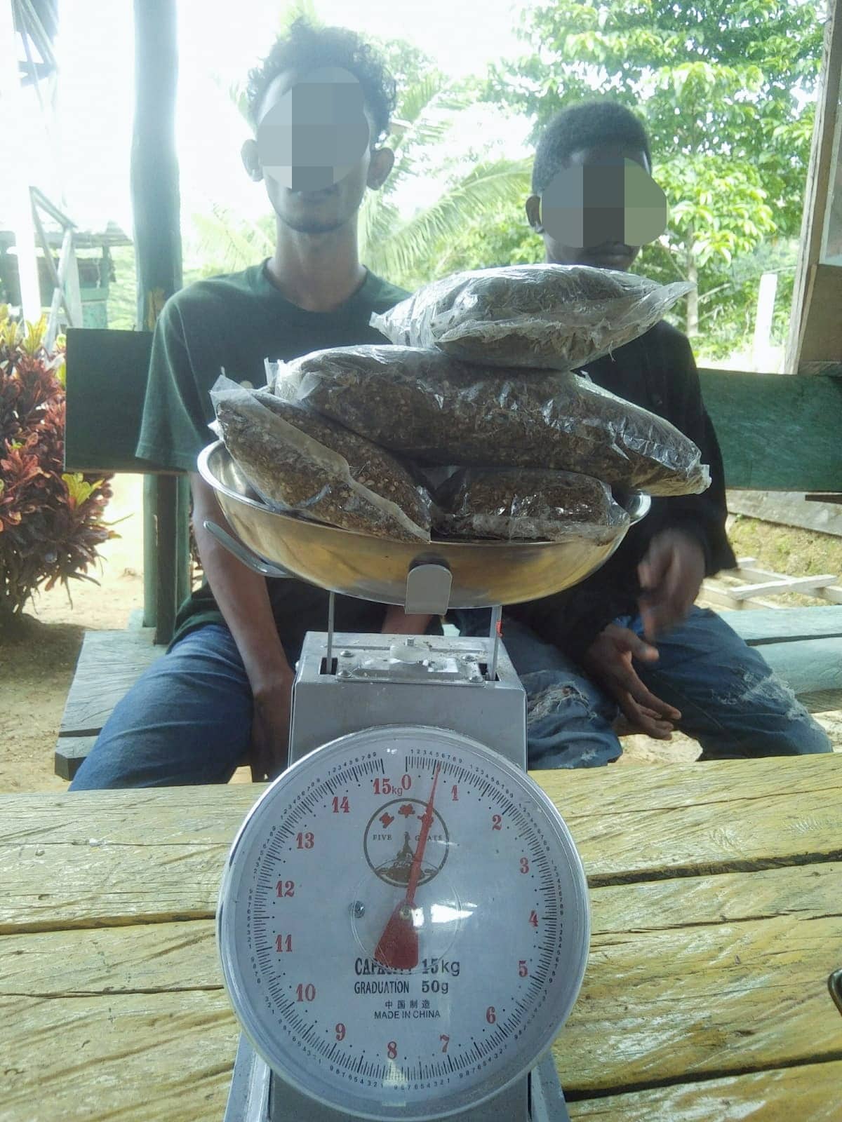 Ilustrasi berita JAYAPURA: Bawa 500 Gram Ganja Siap Edar, Dua Pemuda Diamankan Satgas Pamwiltasrat RI-PNG Yonif 132/BS