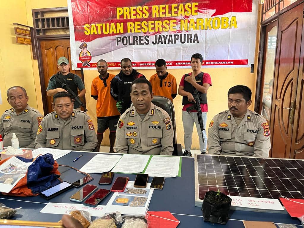 Ilustrasi berita JAYAPURA: Polisi Bekuk 4 Oknum Warga, Amankan 2,1 Kilogram Ganja dan Sita Dua Pucuk Soft Gun
