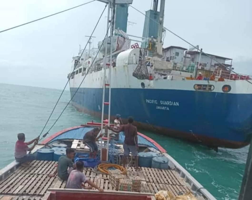 Ilustrasi berita Papua: Jaringan Sempat Hilang, Telkom Ganti Kabel Optik Laut SKKL Ruas Sorong-Merauke Sepanjang 26 Kilometer