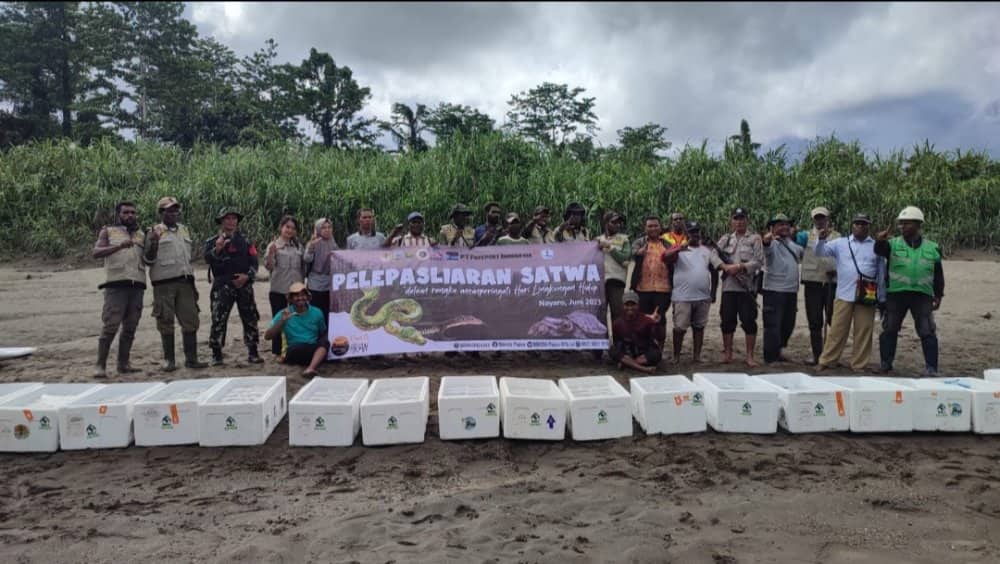 Ilustrasi berita Mimika: Peringati Hari Lingkungan Hidup Sedunia, BBKSDA Papua Didukung Freeport Lepas Liar 4.279 Satwa Dilindungi ke Habitat Alami