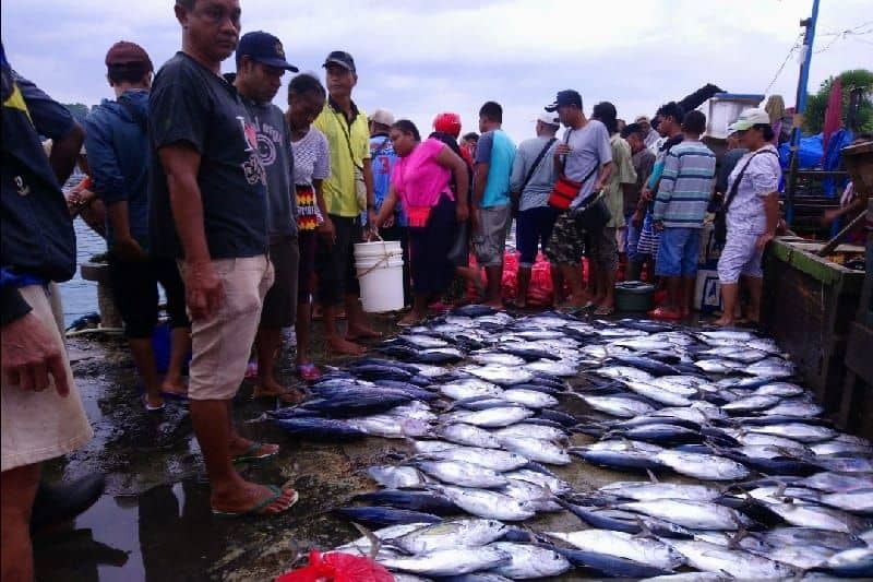 ikan