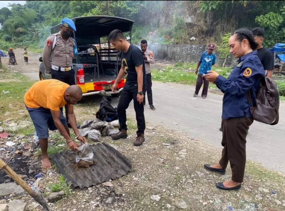 Ilustrasi berita JAYAPURA: Polisi Musnahkan 8 Kilogram Ganja Milik WNA, Pelaku Terancam 20 Tahun Penjara