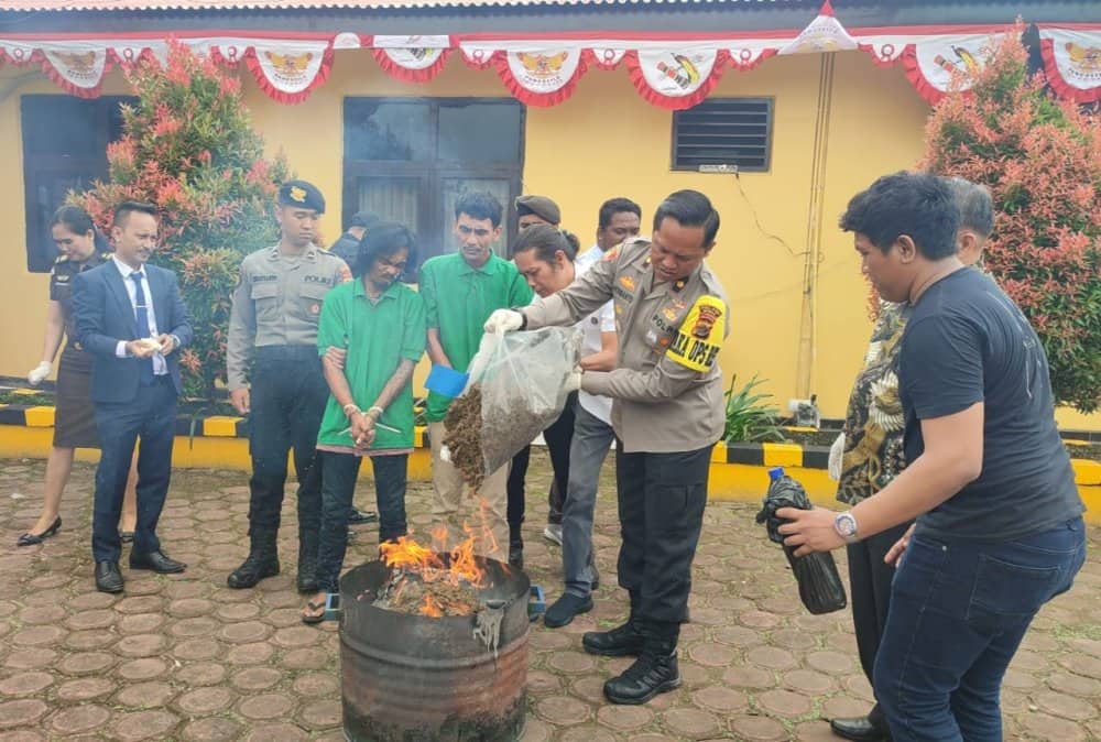 Ilustrasi berita Mimika: Ganja 4 Kilogram Senilai Rp 600 Juta Sitaan Polres Mimika Dimusnahkan, Wakapolres : Satu Tersangka Mantan Security