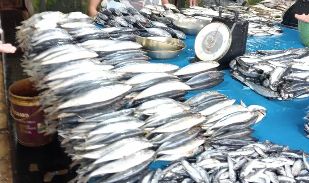 Ilustrasi berita Mimika: Disesalkan, Ada Oknum Karyawan Pemilik Kapal di Pomako Enggan Membayar Pajak, Sengaja Transaksi di Laut
