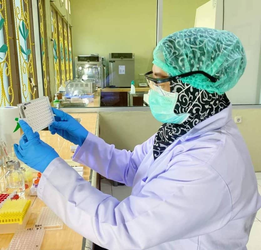 Ilustrasi berita Mimika: Deteksi Virus Flu Burung, Karantina Hewan Timika Periksa 16 Sampel Darah Ayam