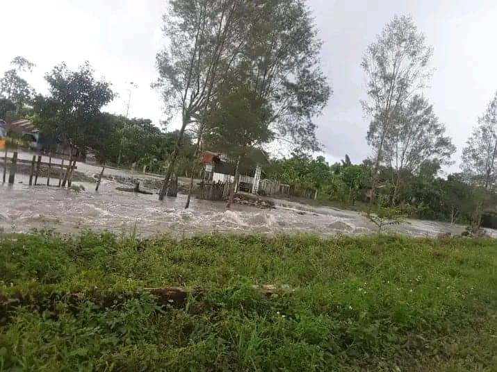 Ilustrasi berita Mimika: Akibat Kerusakan Hutan Banjir Sering Landa Iwaka, DPRP Papua Minta PT PAL Tidak Lepas Tanggung Jawab