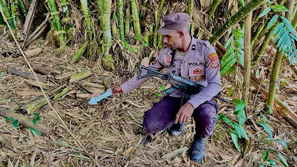 Ilustrasi berita Papua: Di Mappi, Sosok Bayi Merah Ditemukan Dibawah Pohon Bambu