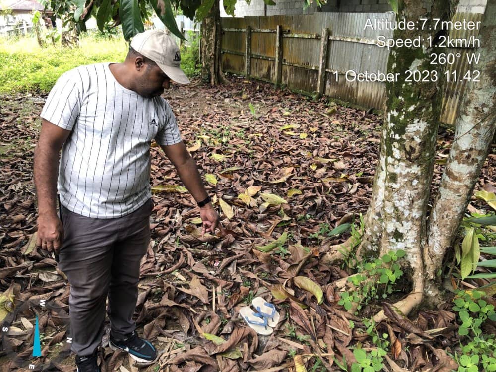 Ilustrasi berita Mimika: Warga Hiripau Timika Dilaporkan Hilang, Diduga Tenggelam di Sungai