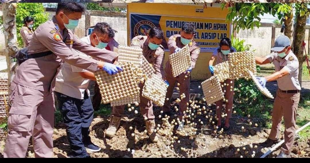Ilustrasi berita Mimika: Tak Patuh Karantina, 250 Kilogram Telur Asal Tulungagung Dimusnahkan