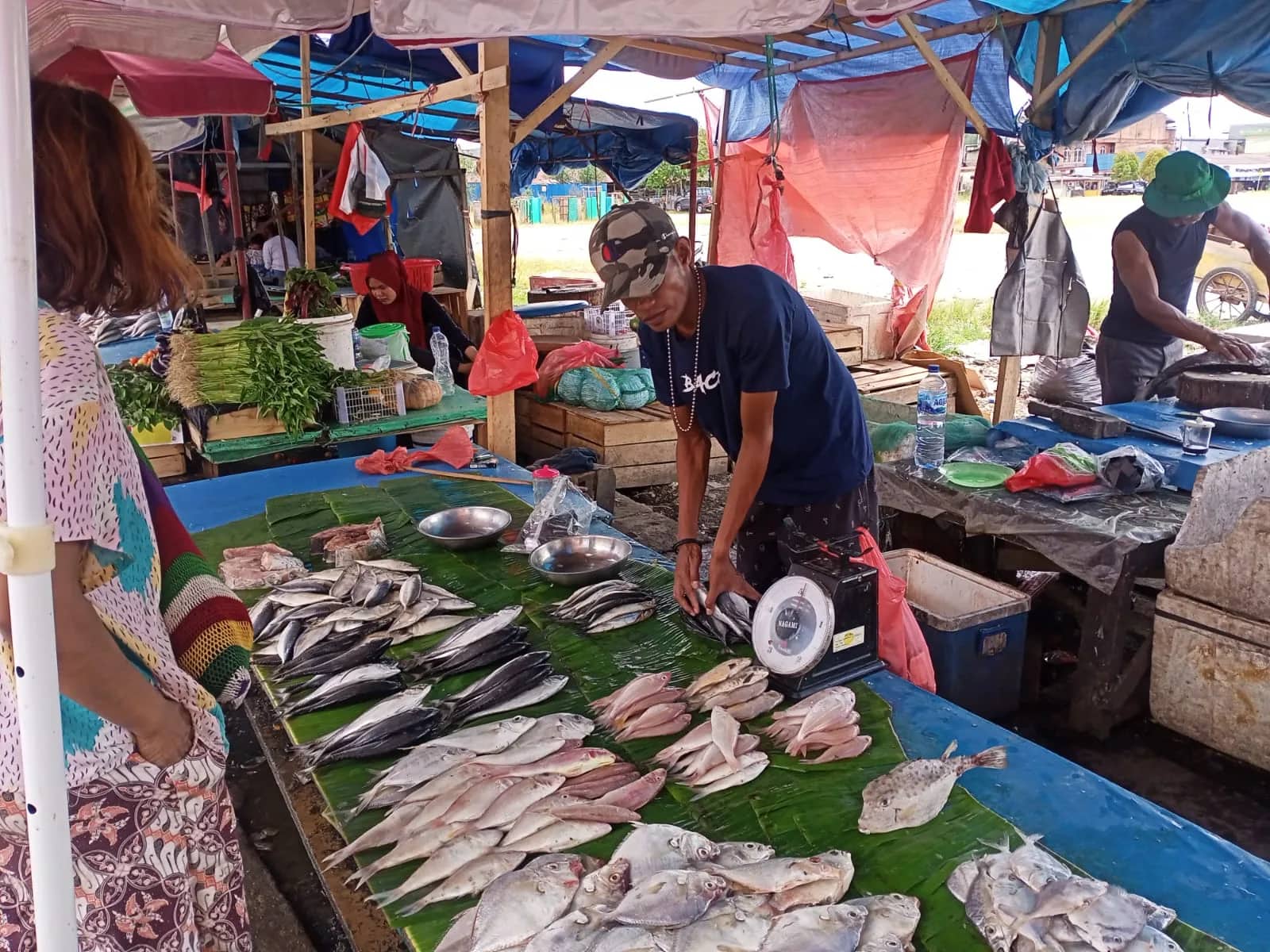 Ilustrasi berita Mimika: Timika "Banjir" Ikan, Harga Murah-meriah Selama Sepekan di Eks Pasar Swadaya, Begini Pengakuan Pedagang
