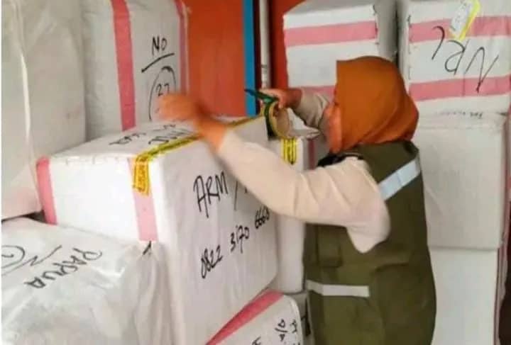 Ilustrasi berita Mimika: Hendak Diangkut ke Jakarta, Kantor Karantina Papua Tengah Periksa 2.459 Kg Gaharu di Bandara Mozes Kilangin Timika