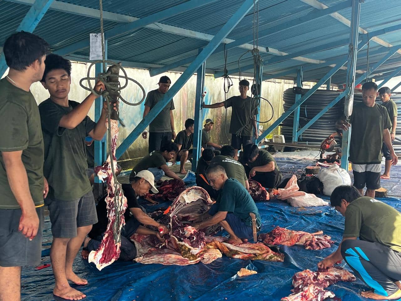 Ilustrasi berita JAYAPURA: PT Air Minum Jayapura Sembelih 7 Ekor Sapi Dibagikan ke Pegawai dan Warga