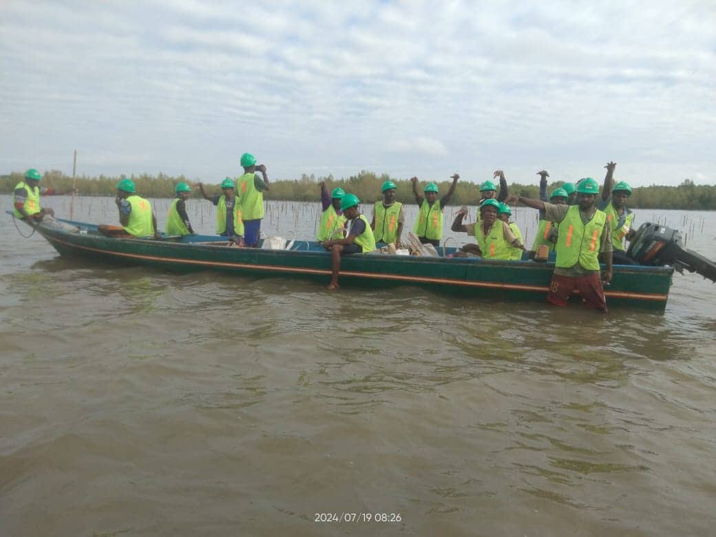 Ilustrasi berita LENSA FOTO: Gallery Foto Tahapan Kerja, Kontrak Swakelola Padat Karya Percepatan Rehabilitasi Mangrove 2024, KTM Mboaripi Mane, Distrik Mimika Timur, Kabupaten Mimika - Papua Tengah