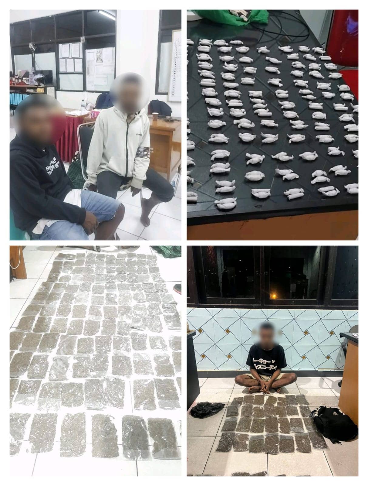 Ilustrasi berita Papua: Bongkar Dua Kasus Penyalahgunaan Narkoba, Polda Papua Sita 2,6 Kilogram dan 147 Bungkus Ganja dari 3 Tersangka