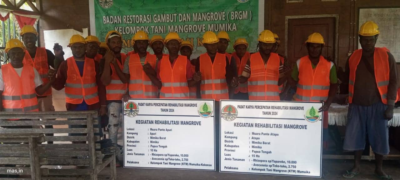 Ilustrasi berita Mimika: Usai Laksanakan Musyawarah Kerja, KTM Mumuika Rencanakan Rehabilitasi 25 Hektar Hutan Mangrove di Kokonao