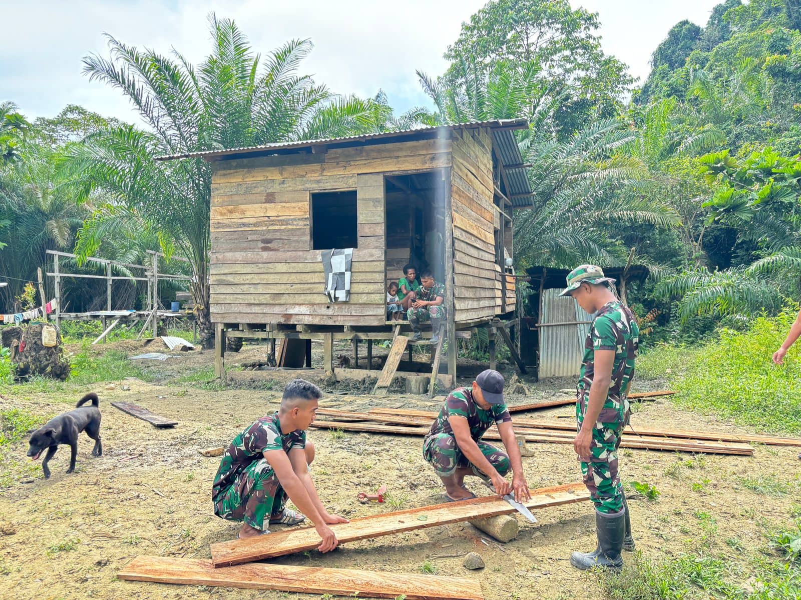 Ilustrasi berita Papua: Satgas Yonif 122/TS Renovasi Rumah Warga di Perbatasan Papua - Papua Nugini