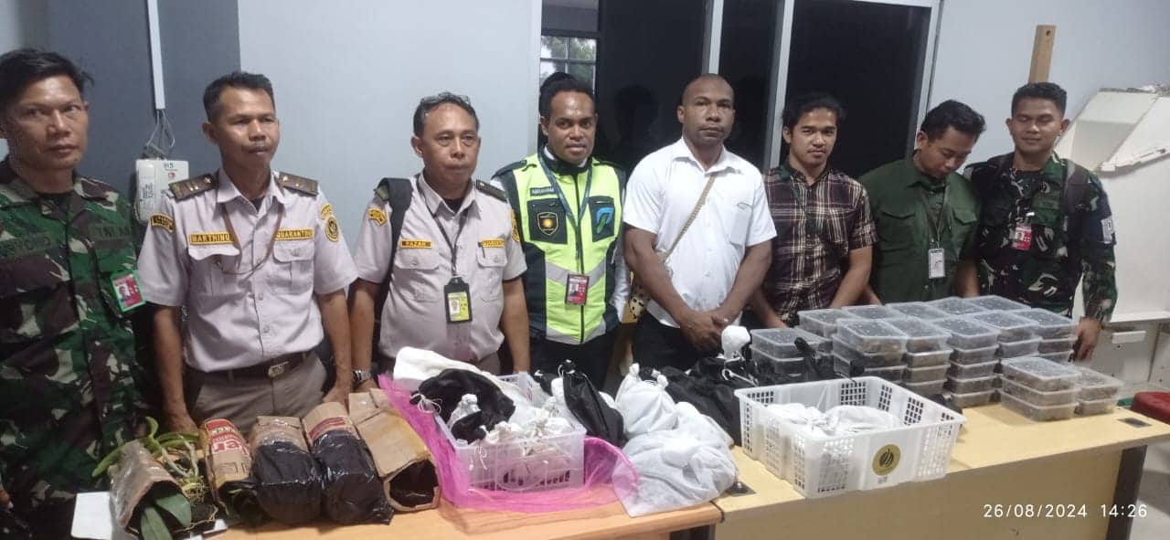 Ilustrasi berita Papua: Terdeteksi di Xray, Dus Berisi Ratusan Reptil Diamankan Petugas Avsec Bandara Sentani