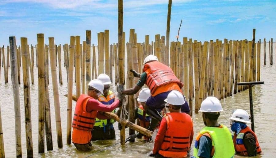 Ilustrasi berita Mimika: Kembangkan Ekonomi Berbasis Bambu di Pesisir Timika, Freeport Gandeng Yayasan Bambu Lingkungan Lestari