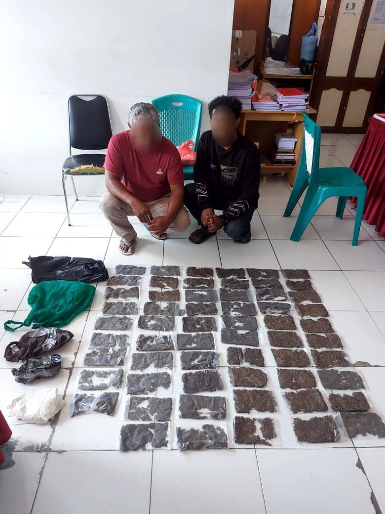 Ilustrasi berita JAYAPURA: Tangkap Tiga Pelaku Pengguna Narkoba di Jayapura, Polda Papua Amankan Ganja Seberat 109,46 Gram