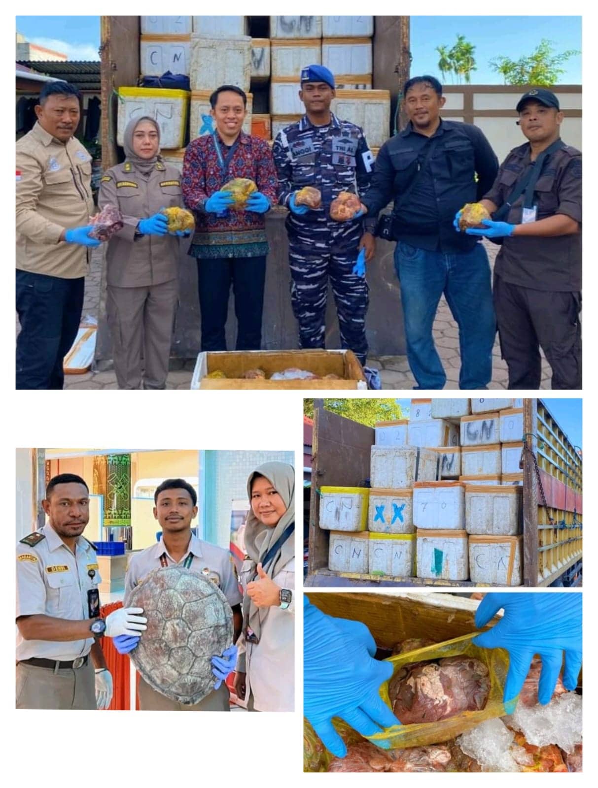Ilustrasi berita Mimika: Pengiriman 1,69 Ton Daging Rusa Lewat Pelabuhan Pomako Digagalkan Karantina Papua Tengah