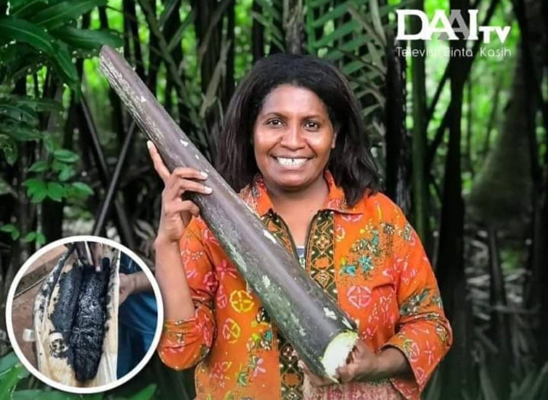Ilustrasi berita Papua: Luar Biasa, Yuliance Ulim dari Suku Moi Sorong Berhasil Produksi Garam dari Pohon Nipah