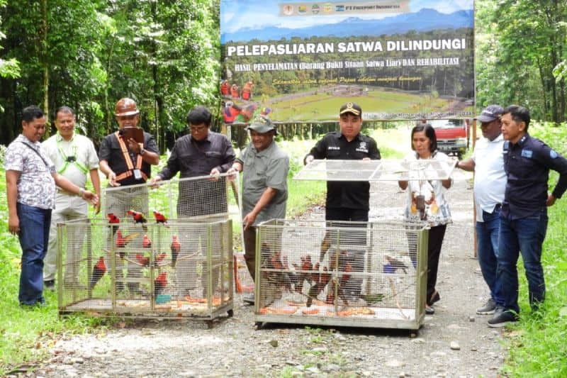 Ilustrasi berita Mimika: 37 Satwa Jenis Burung Dilindungi Dilepaskan di Hutan Kuala Kencana