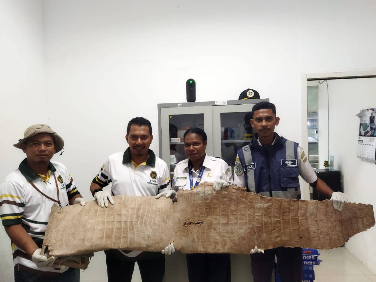 Ilustrasi berita Papua: Pertama Tahun 2024, Kulit Buaya Asli Sepanjang 2,68 Meter Terdeteksi X-Ray Bandara, Hendak Dibawa Keluar Papua