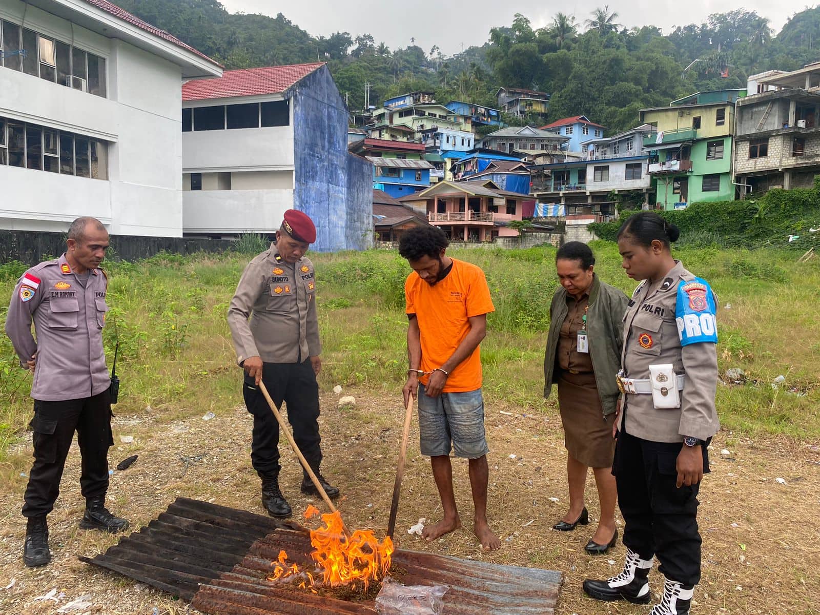 Ilustrasi berita BERITA UTAMA: Polisi Musnahkan Ganja Seberat Lebih Dari 9 Kilogram