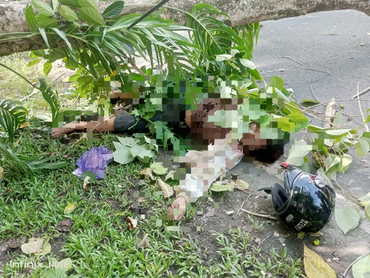 Ilustrasi berita JAYAPURA: Seorang Wanita Pengendara Sepeda Motor Meninggal Dunia Tertimpa Pohon Tumbang di Sentani Timur