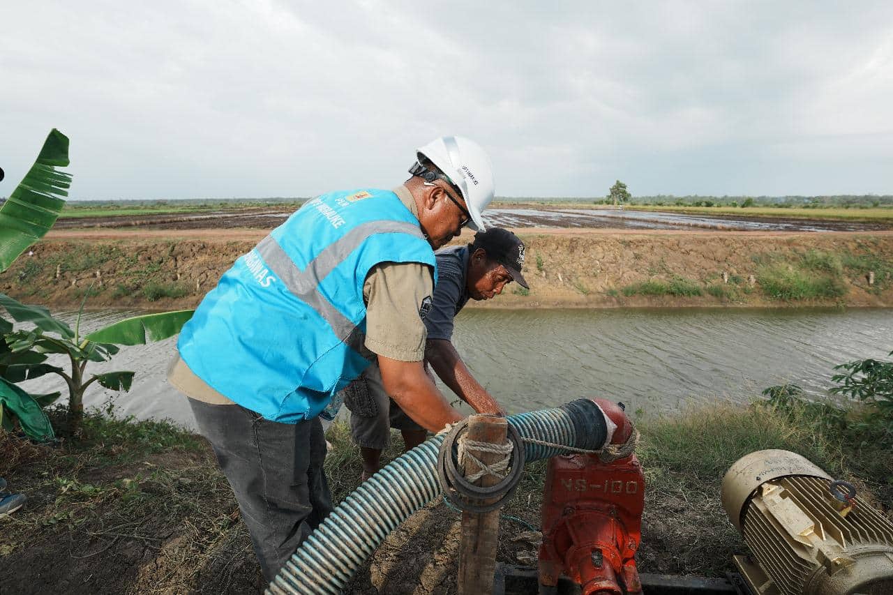 Ilustrasi berita BERITA UTAMA: Dukung Transformasi Pertanian Modern, Electrifying Agriculture PLN Raih 53.539 Pelanggan Baru di Tahun 2024