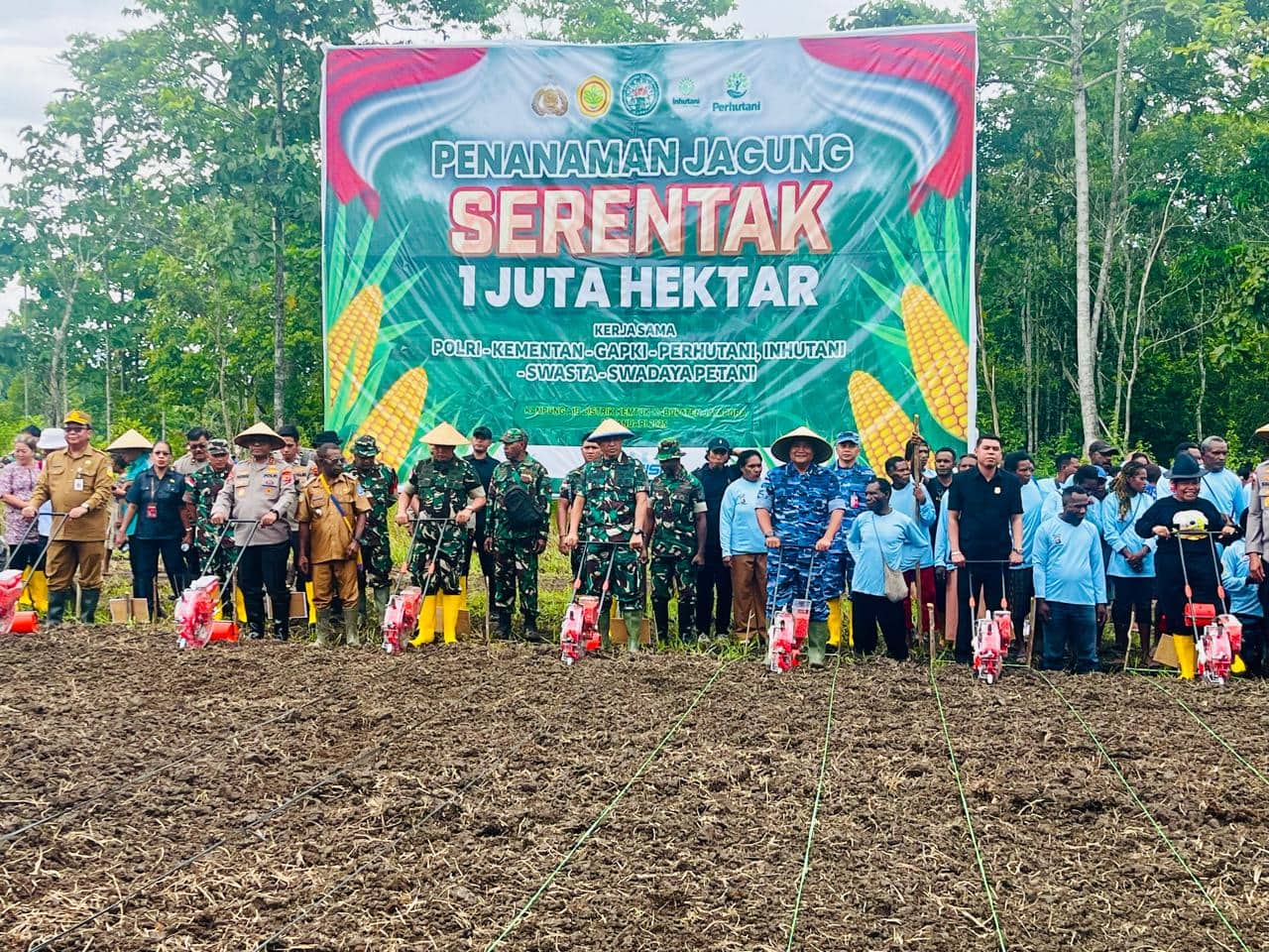 Ilustrasi berita JAYAPURA: Dipetakan Sebagai Wilayah Pertanian Sejak Masa Belanda, Kampung Aib di Jayapura Jadi Lokasi Penanaman 1 Juta Hektar Jagung