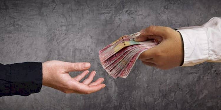 Ilustrasi berita Mimika: Berdalih untuk Beli Babi pada Perayaan Natal Pemda, Dinas Pendidikan Mimika Minta Seluruh Kepsek Negeri Sumbang Rp 1 Juta Perorang