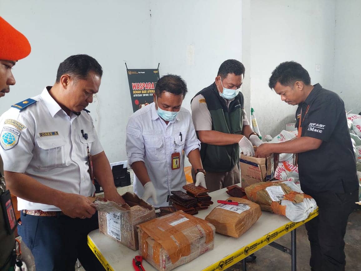 Ilustrasi berita Papua: Tidak Miliki Dokumen Karantina, 87 Buah Kerajinan Berbahan Kulit Buaya Disita Petugas